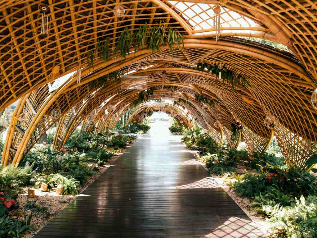 Vaulted bamboo garden pavilion with woven lattice arches and lush planting